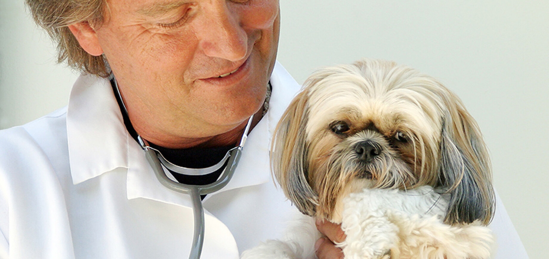 Castração: tudo o que você precisa saber