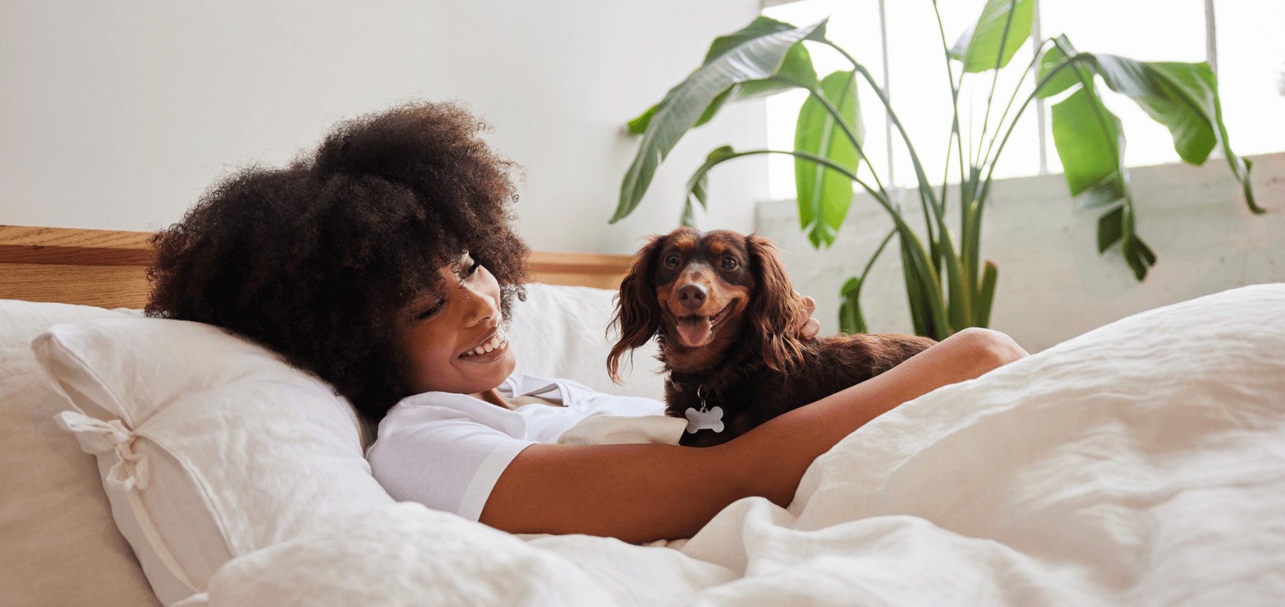 Como fortalecer o relacionamento com seu cão