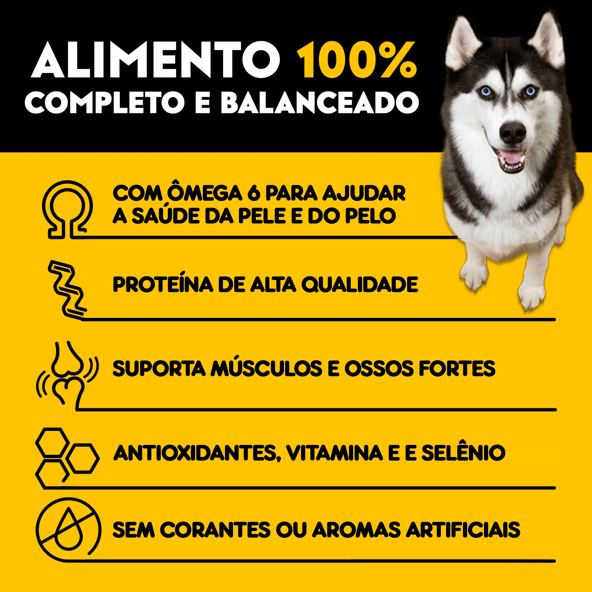 Informações sobre os benefícios da Ração High Protein ao Lado do cachorro Husky Siberiano preto e branco (“garoto Propaganda” da nova Linha PEDIGREE®)