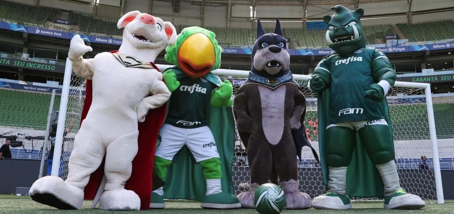 Dezembro Verde: Mars e Palmeiras promovem ações de conscientização e mutirão de castração para combater o abandono animal