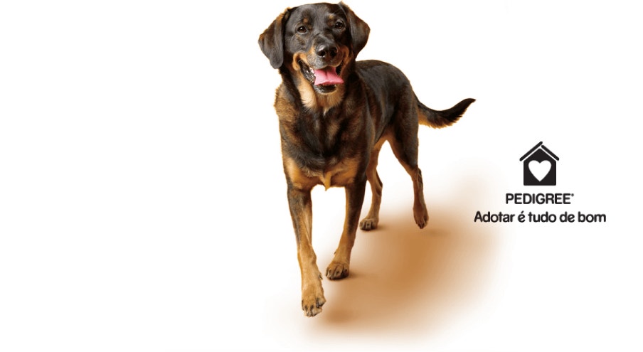 Cachorro de porte grande, preto e caramelo, ao lado de logotipo de Pedigree Adotar É Tudo de Bom