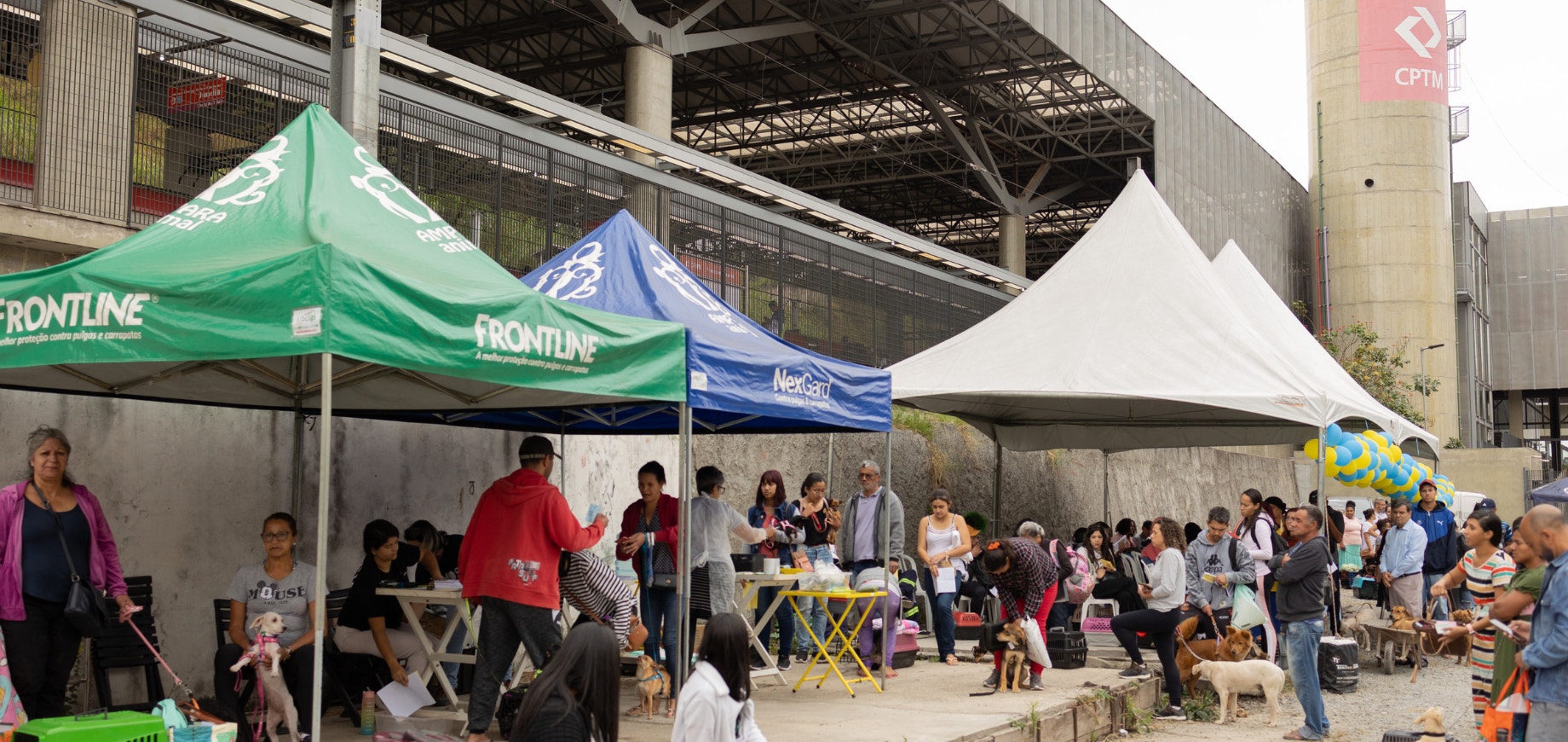 PEDIGREE® e CPTM realizam mais de 200 castrações gratuitas e anunciam expansão da parceria