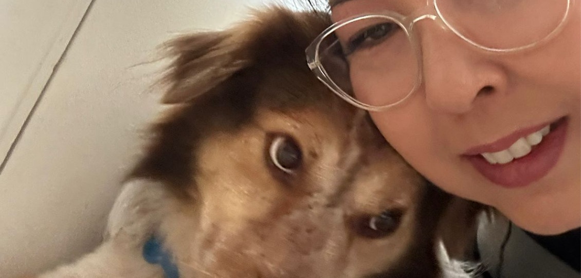 Cachorro de pelos médios com coleira azul, deitado com a cabeça encostada em uma mulher de óculos que tira uma selfie dos dois.