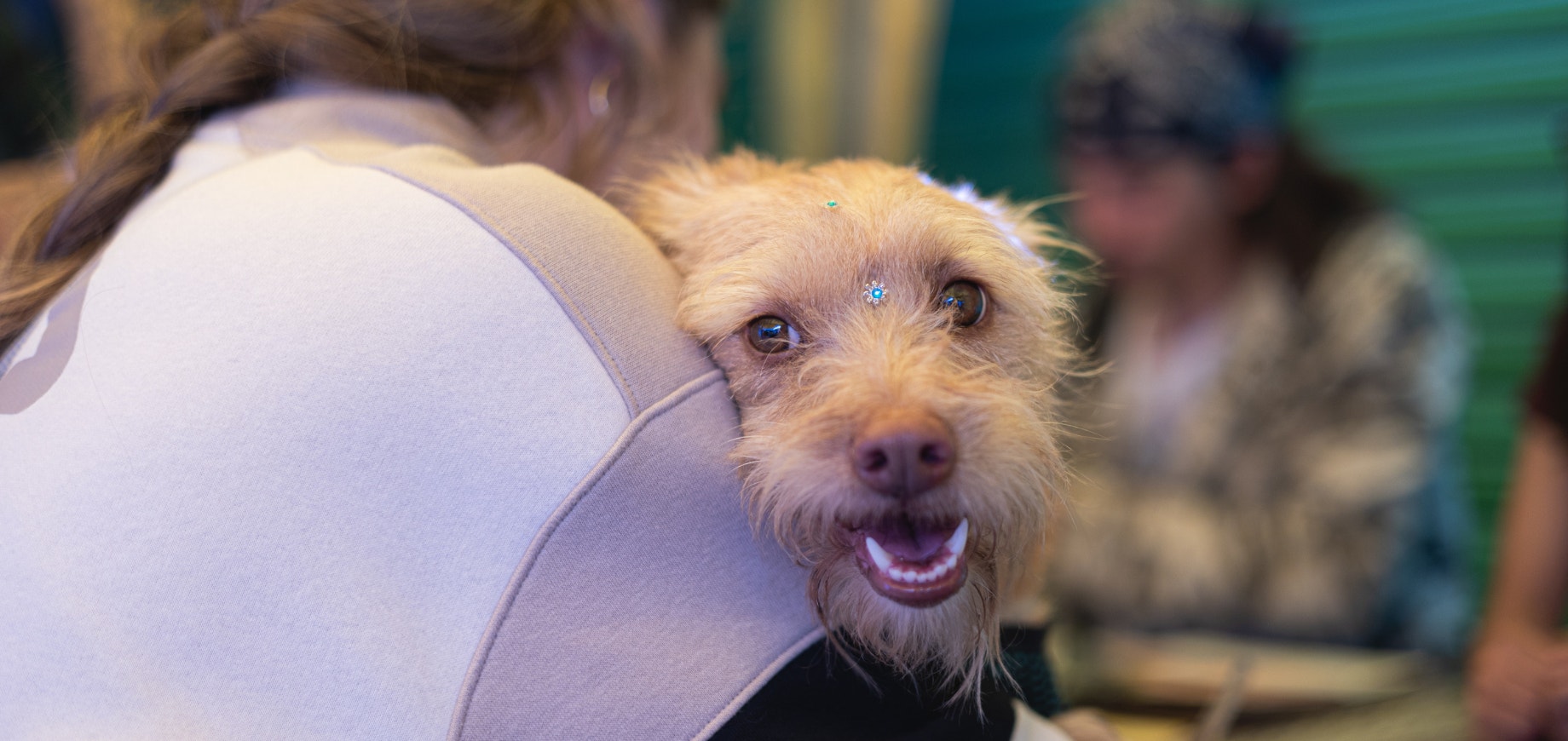 Moça segurando um cachorro caramelo que olha para a foto