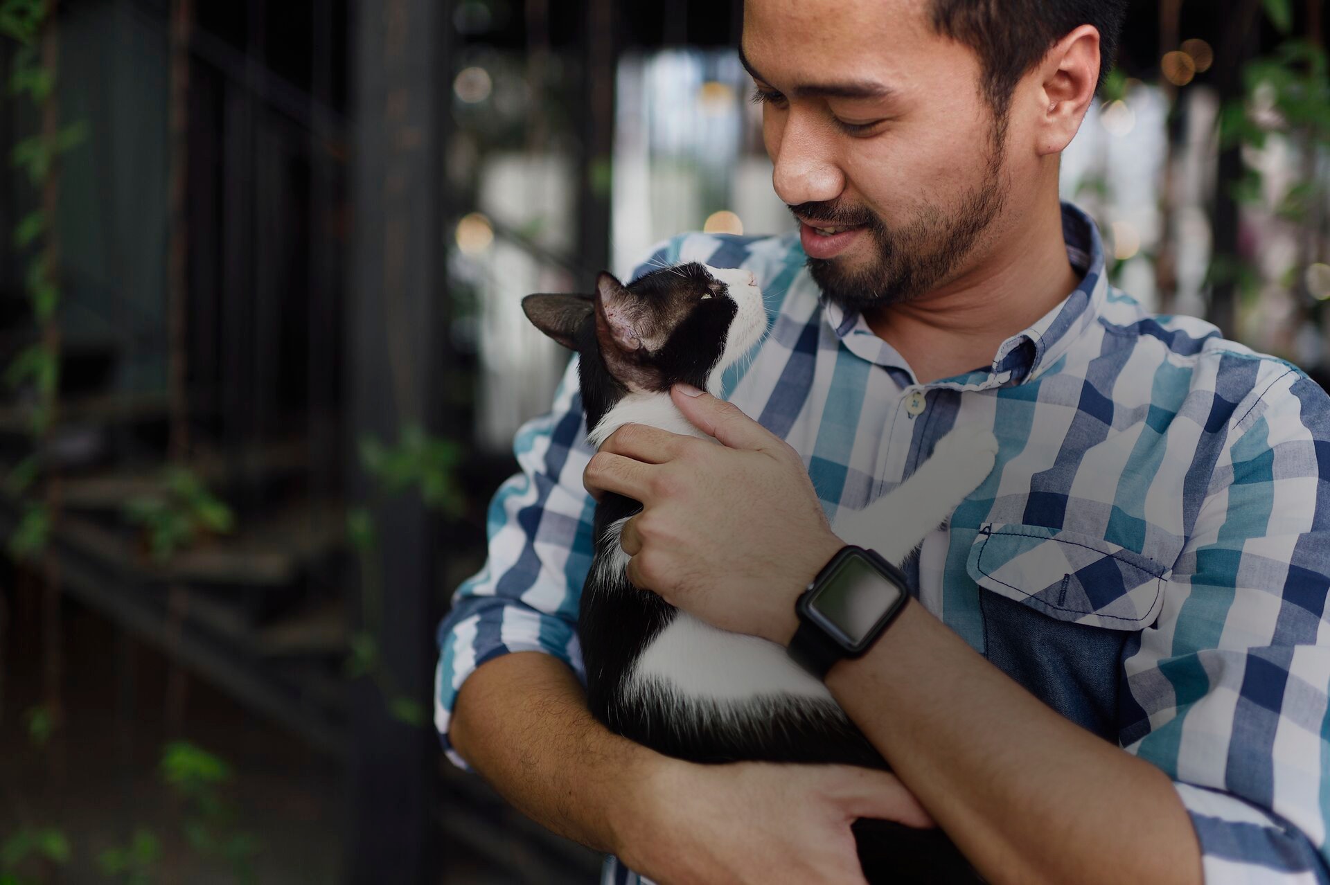 Um homem com barba está segurando um gato preto e branco em seus braços. Ele olha para o gato com um sorriso suave no rosto, vestindo uma camisa xadrez azul e branca e um relógio preto no pulso.