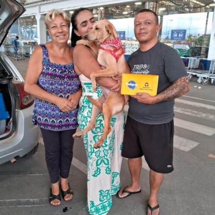 A imagem mostra três pessoas sorridentes com o cão Laura com pelugem bege em um estacionamento. A mulher do centro segura Laura no colo e beija sua cabeça, enquanto a mulher à esquerda e o homem à direita, que segura uma caixa de ração Pedigree, olham para a câmera. Ao fundo, há um prédio com janelas de vidro, sugerindo ser um supermercado ou loja de departamentos.