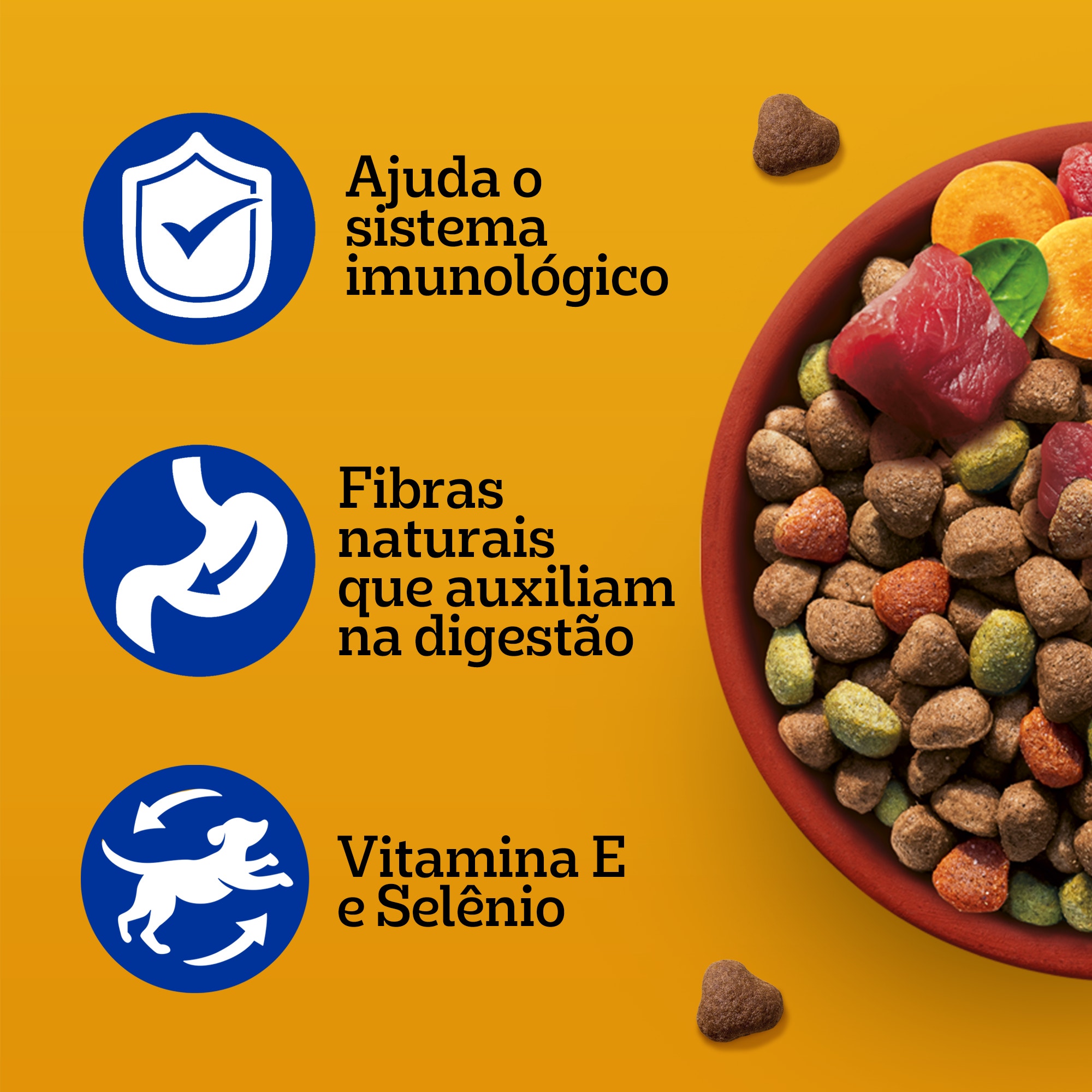 Ração Seca Adulto Sabor Carne e Vegetais 10kg