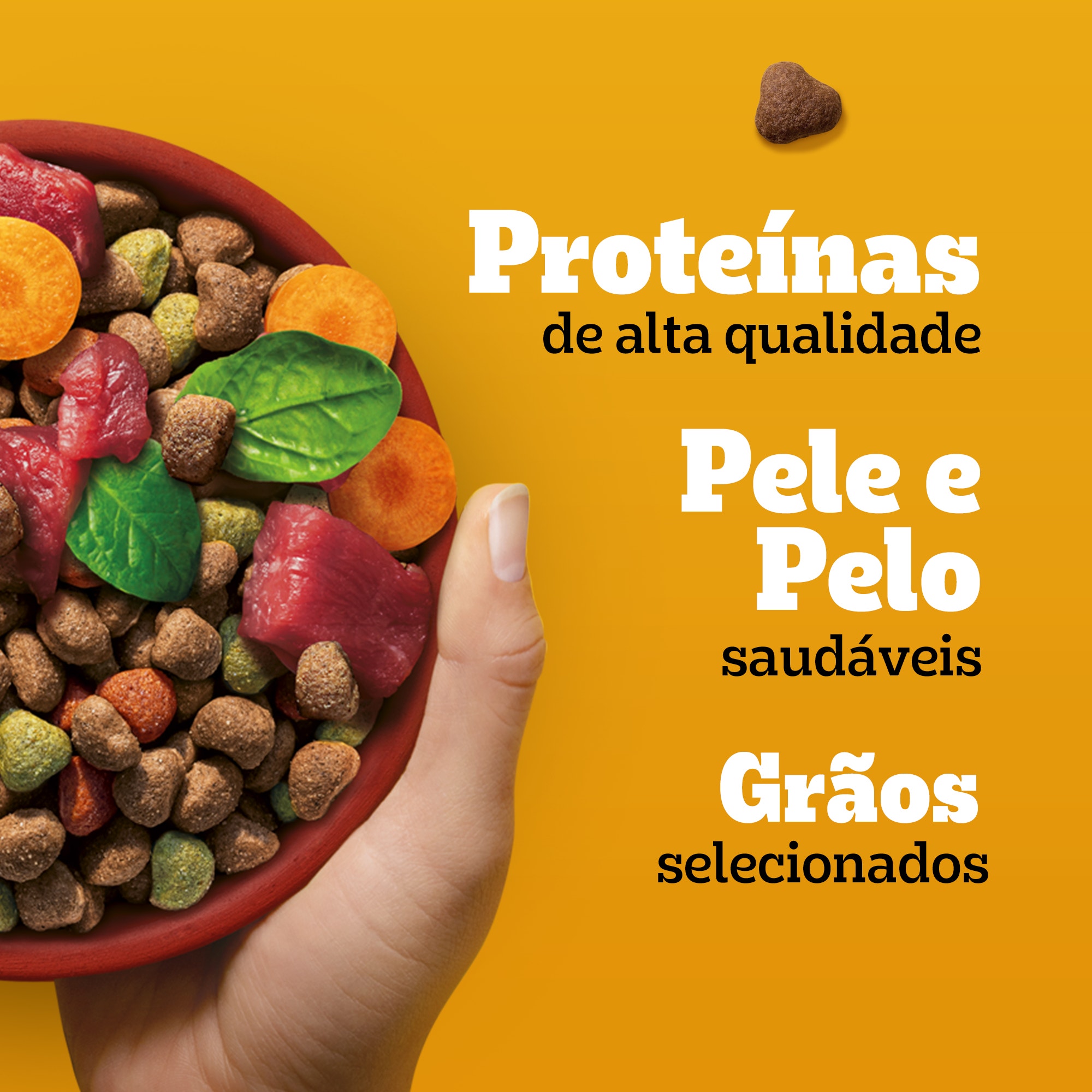 Ração Seca Adulto Sabor Carne e Vegetais 10kg