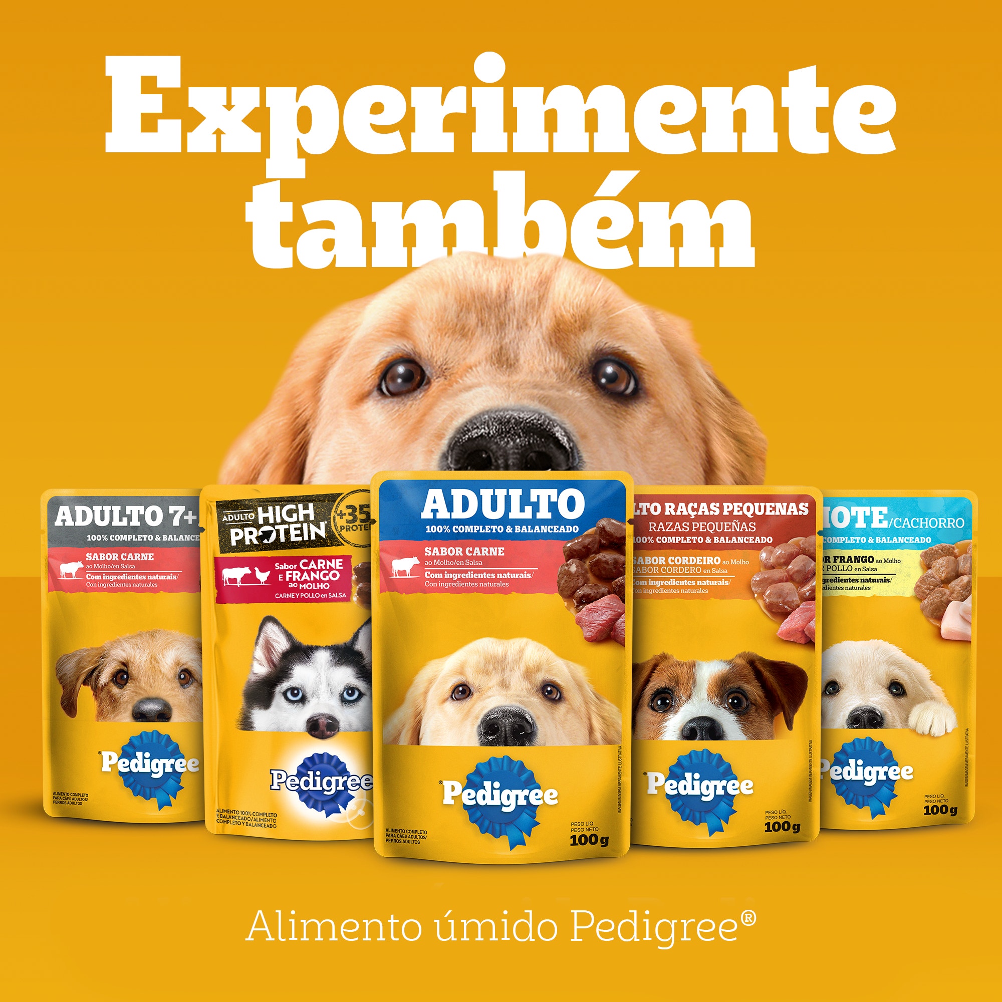 Ração Seca Adulto Sabor Carne e Vegetais 2.7kg