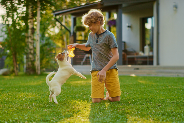 Dedique mais tempo para seu amigo