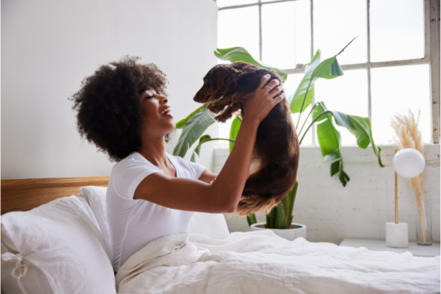 Como escolher um nome para cachorro