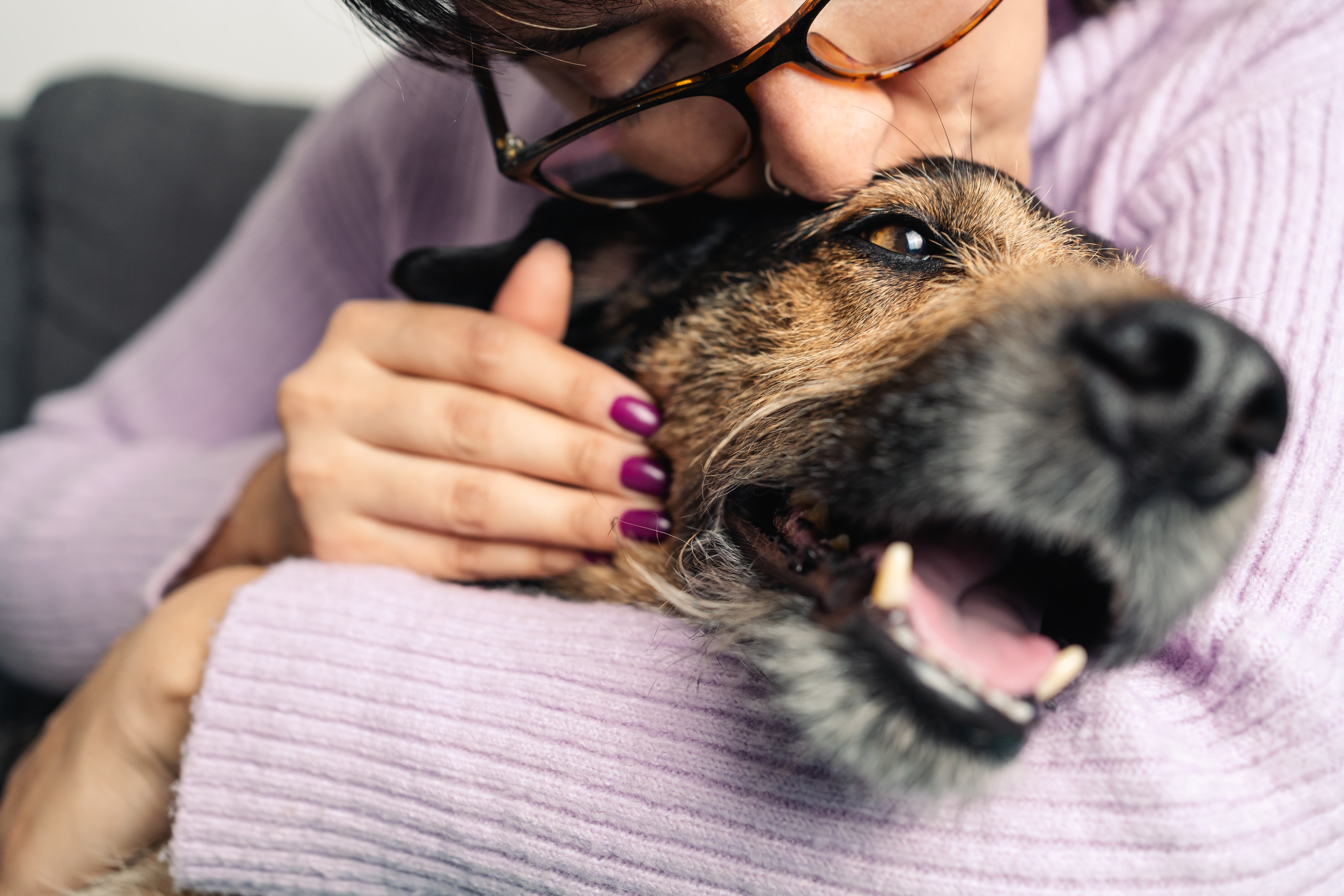 Cachorro sendo abraçado e beijado por uma mulher