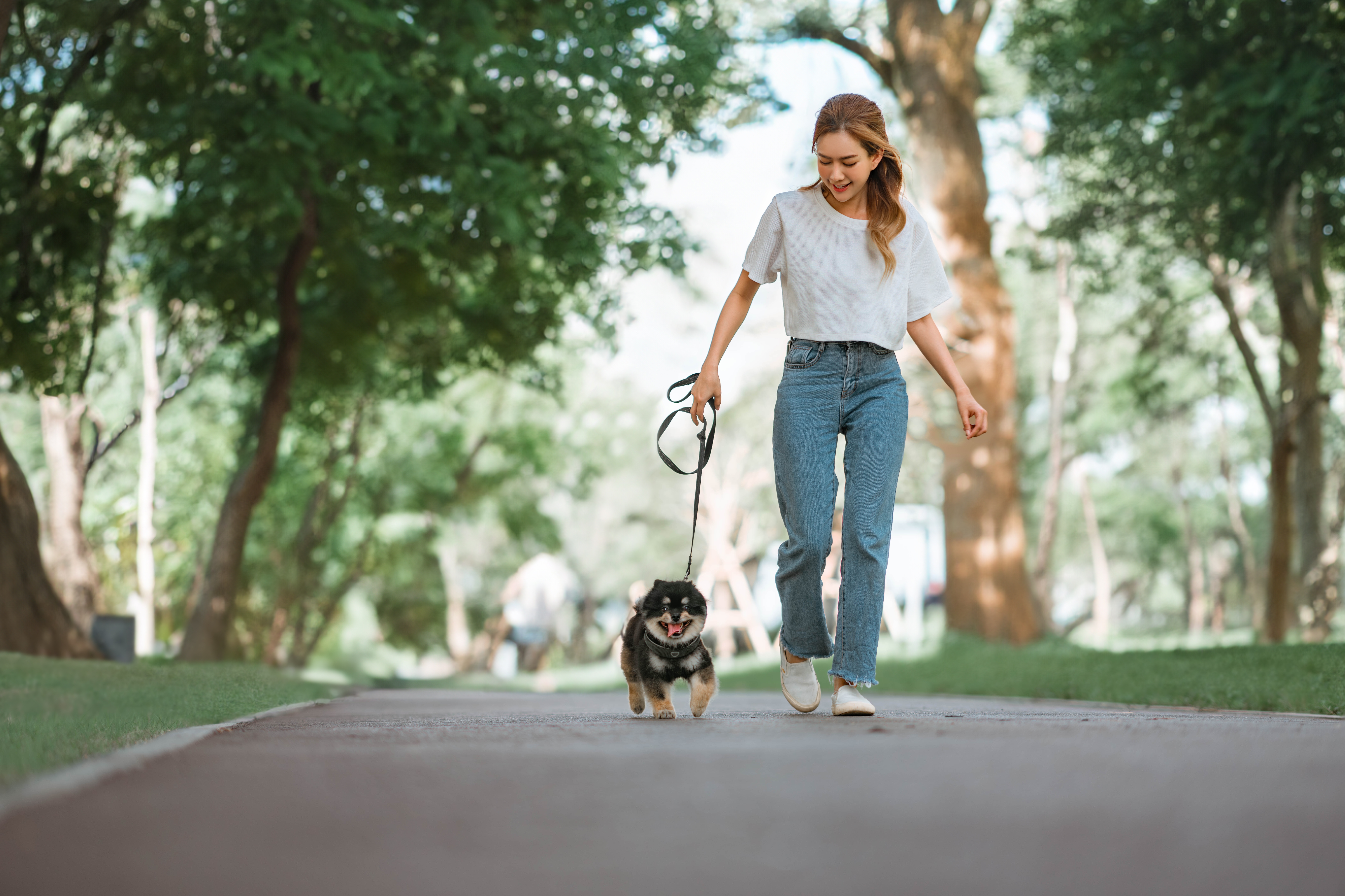 Pessoa caminhando em um parque arborizado com um cachorro pequeno na coleira, em uma trilha pavimentada cercada por árvores.