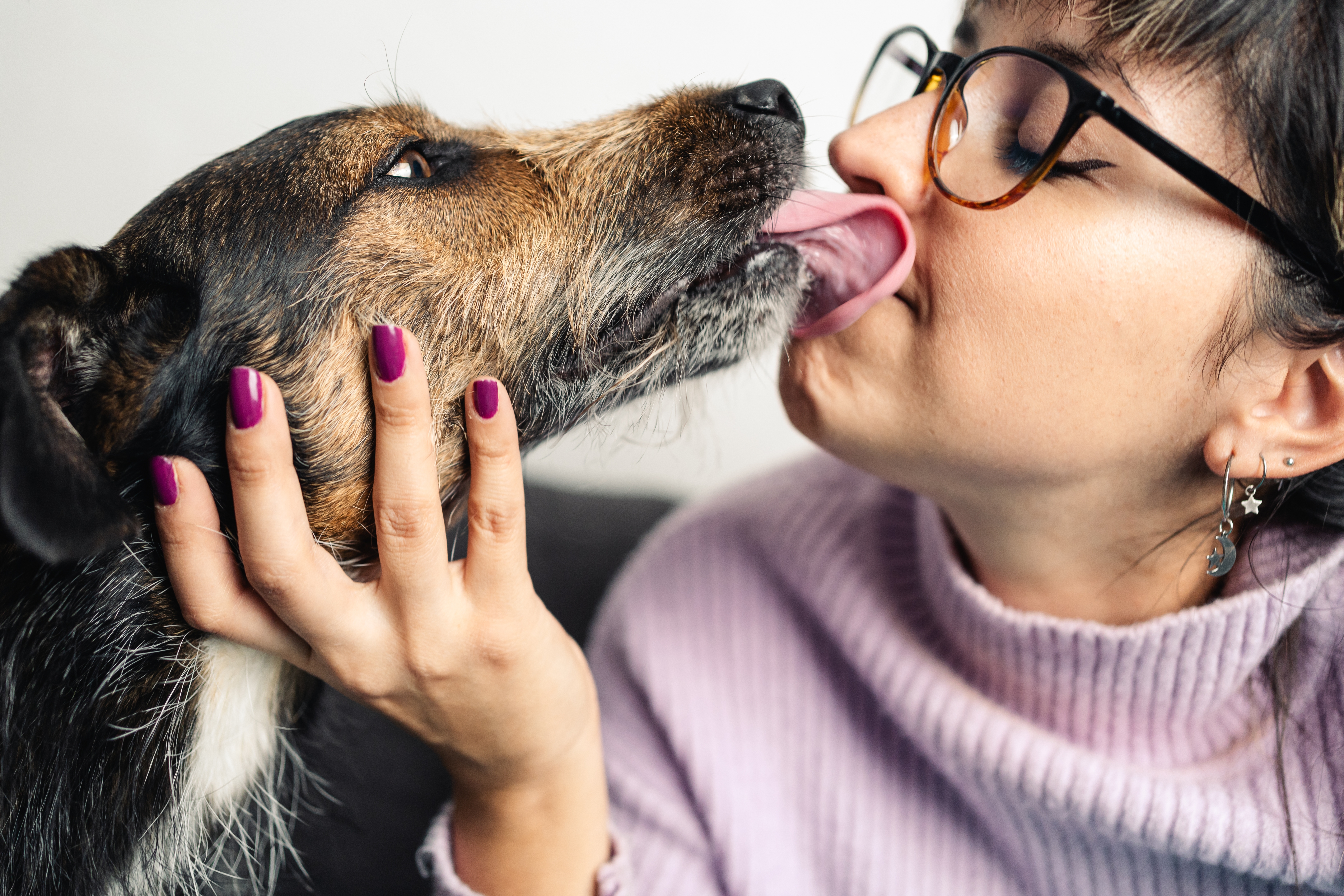 Cachorro de pelagem marrom e preta lambendo o rosto de uma pessoa, enquanto é acariciado com uma mão com unhas pintadas de roxo.